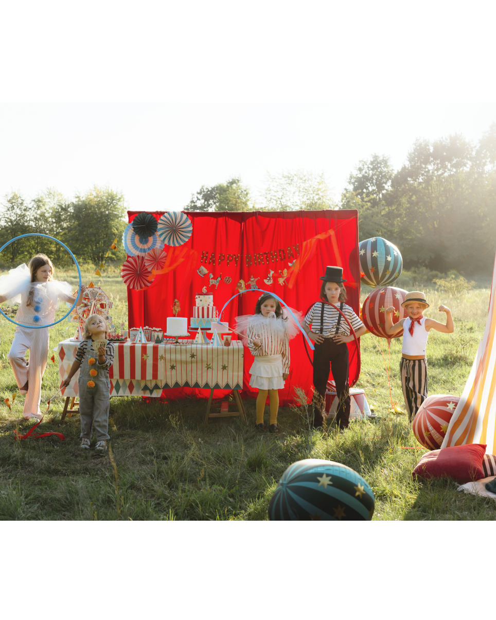 Cirkus festhatte med pom pom'er - Billede 5