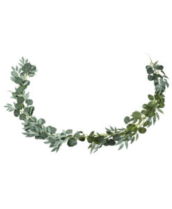 Eukalyptus og oliven ranke