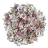 Tørret hortensia konfetti - sart grøn og blush