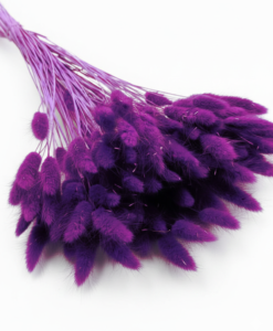 Mørk fuchsia farvede harehaler - 30 stk.