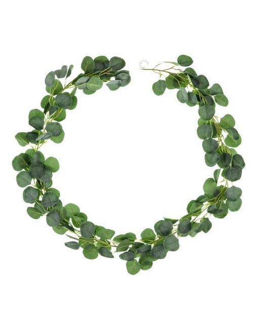 Eukalyptus bladranke - Billede 4